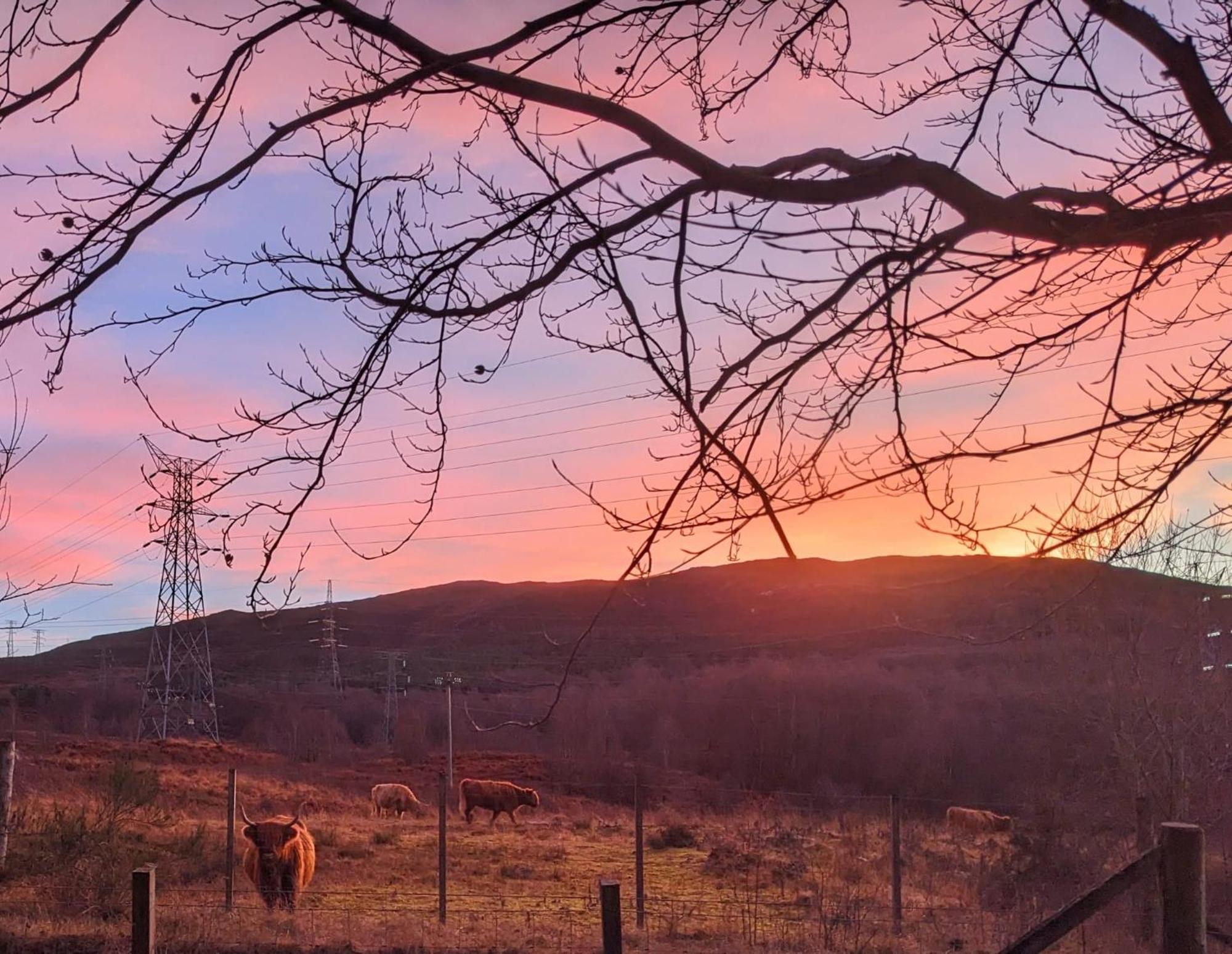 Studio Cottage Tummel Bridge Екстериор снимка